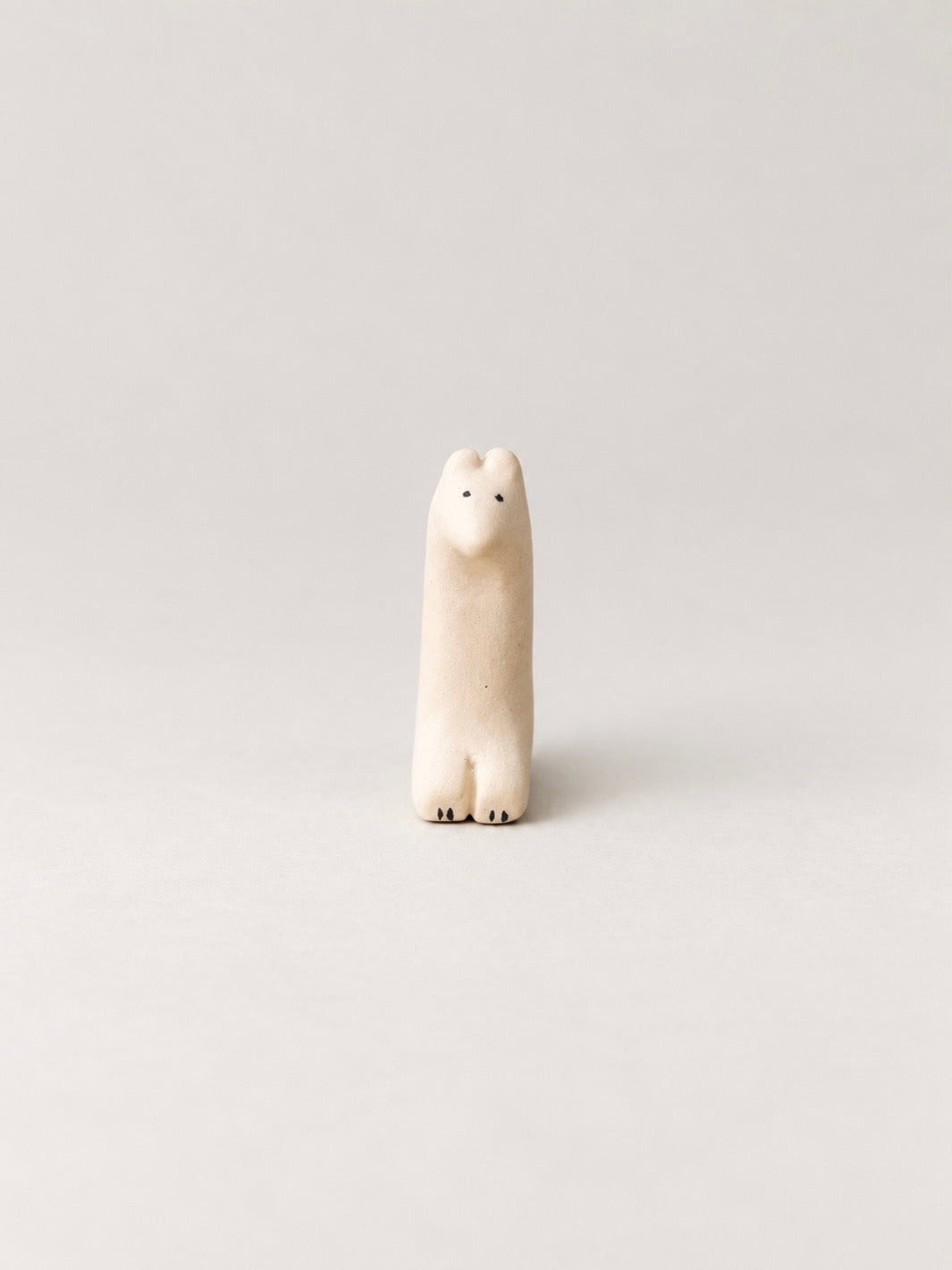 Small Tears Buddy_Mr. Ferret