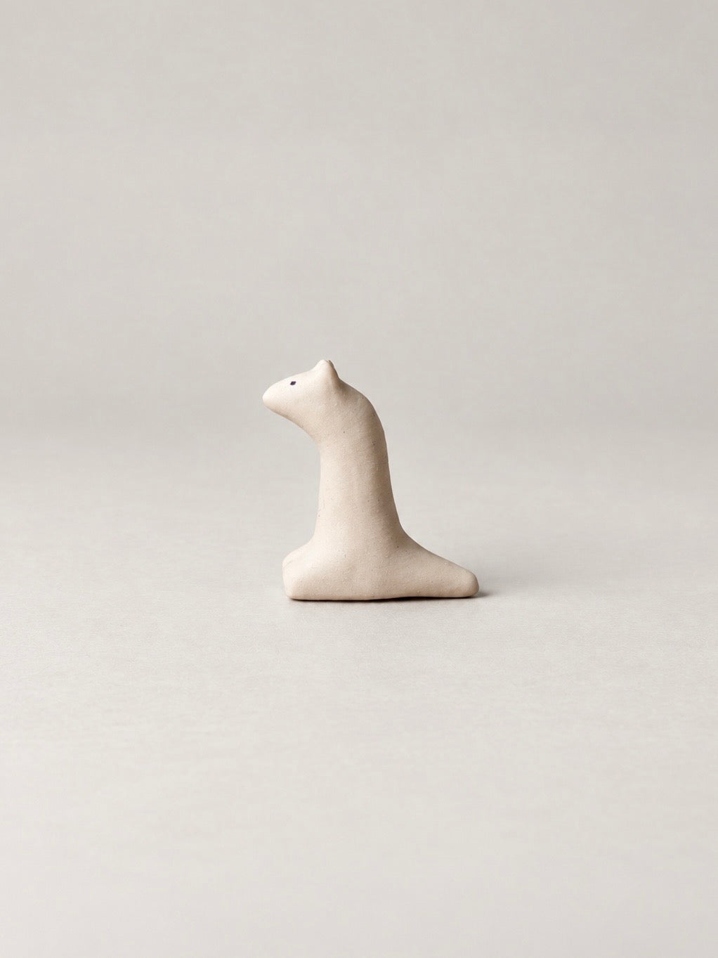 Small Tears Buddy_Mr. Ferret